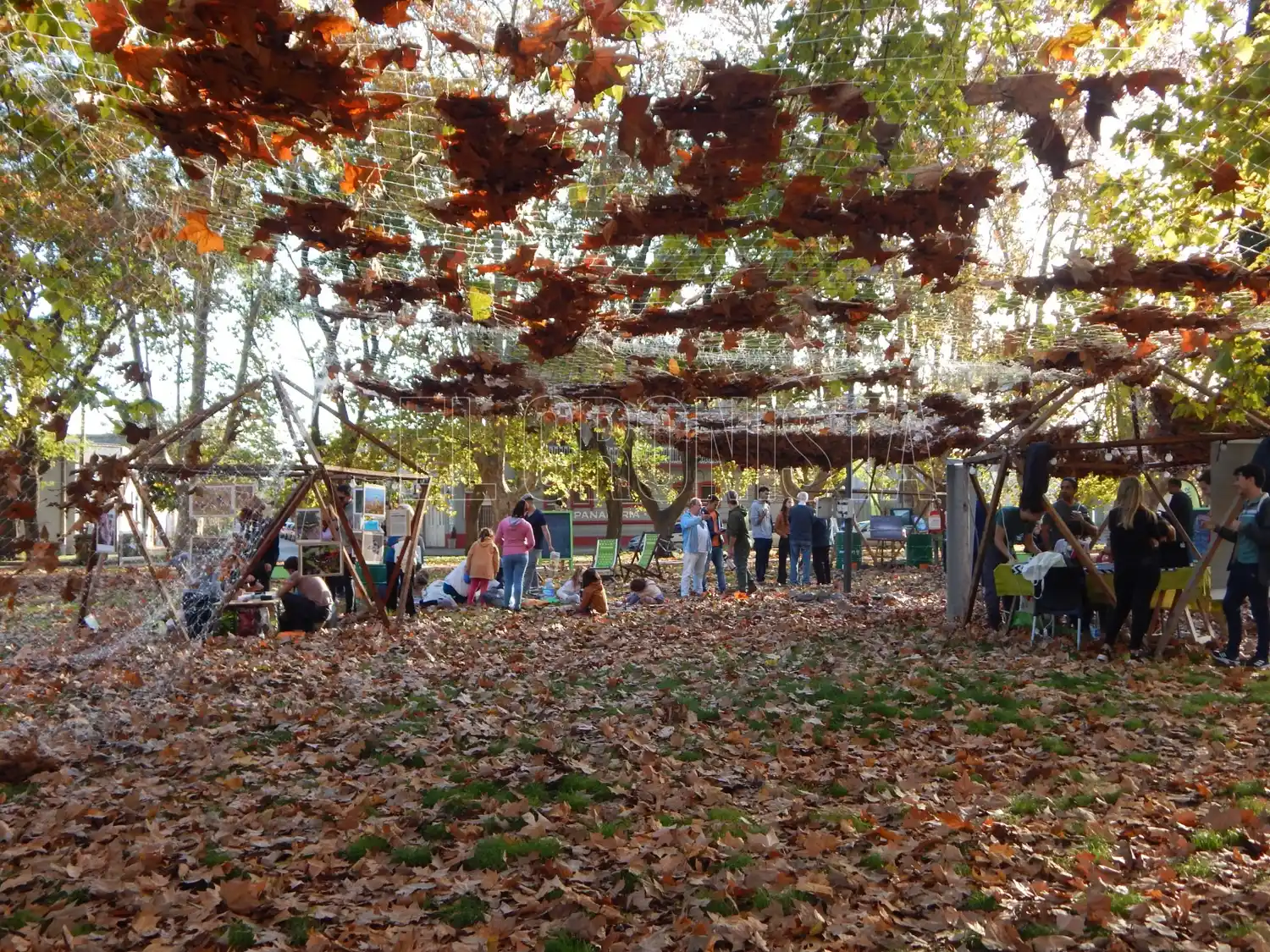 Un mar de hojas cálidas fueron las protagonistas de la exhibición del Museo de Arte Natural de Otoño