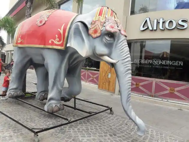 Dumbo llegó a Altos del Gualeguay