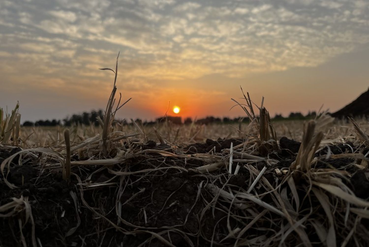 El INTA sostuvo que “la Niña será leve” y despejó los fantasmas de una sequía como la de 2022 y 2023