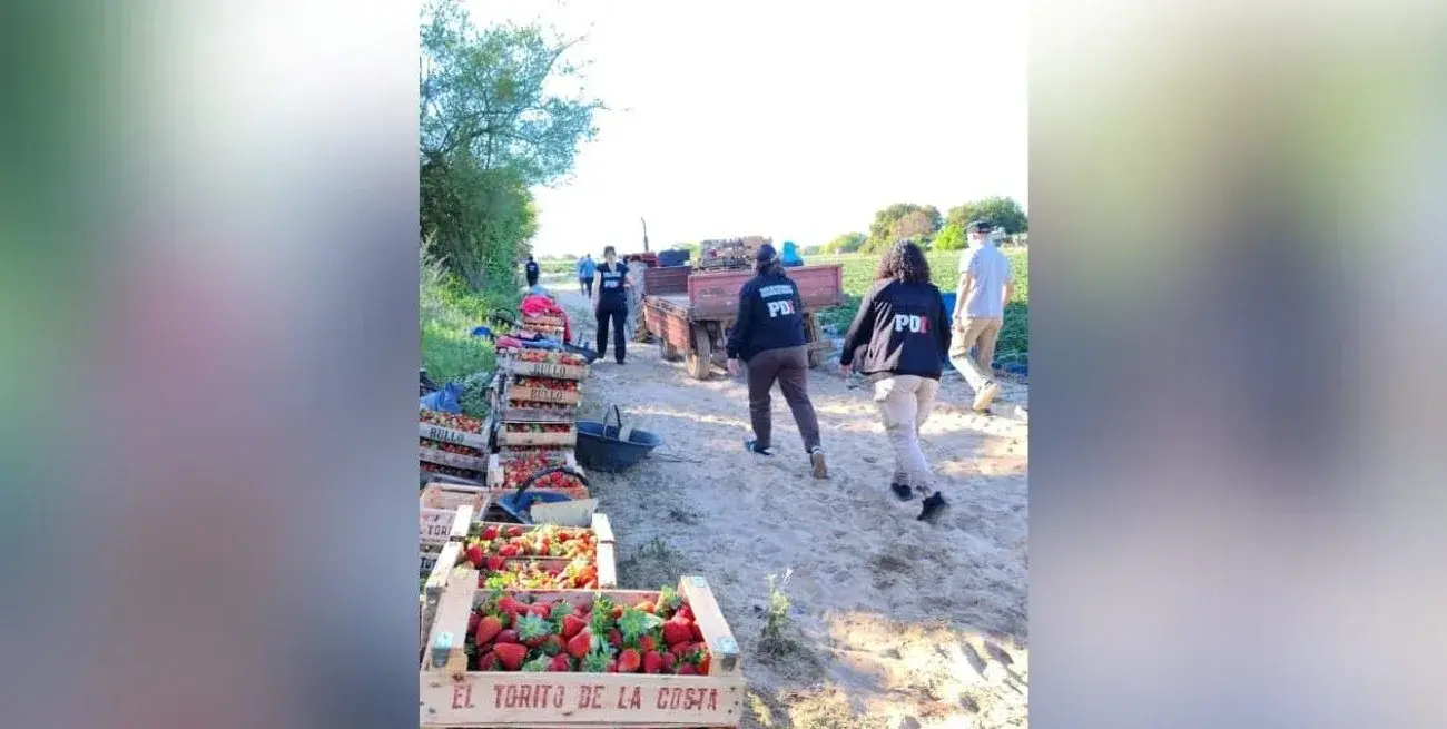 Comenzó en Santa Fe el juicio por presunta explotación laboral de trabajadores chaqueños en un campo de frutillas