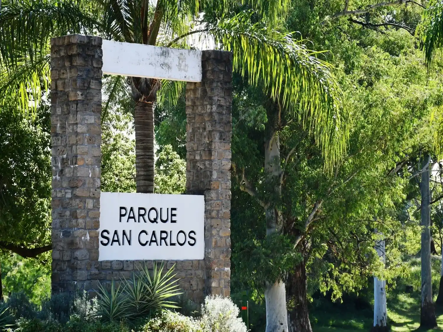 Trabajos de mantenimiento y recuperación ambiental en el Parque San Carlos