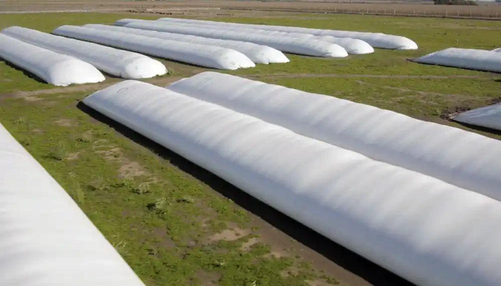 Fuerte repudio del campo a una medida del Banco Central: "Es un ataque a la propiedad privada"