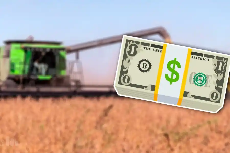 Las empresas que se benefician con el "dólar soja" no podrán acceder a divisas:  no incluye a productores