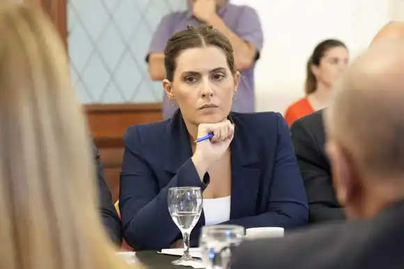 Lionella Cattalini: "Milei decide llevarse puestas las instituciones para imponer un juez corrupto e ineficiente"