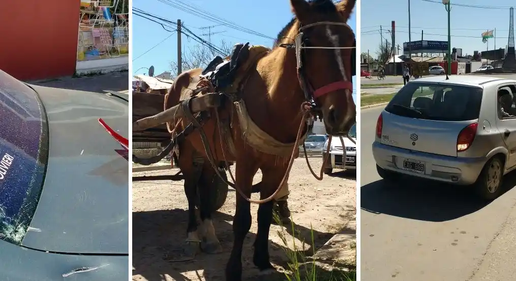 Un caballo fuera de control provocó destrozos en dos autos 