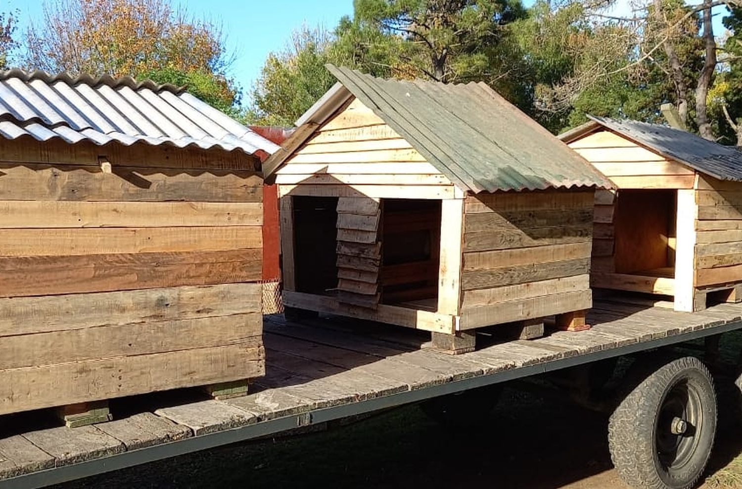 Donaron "cuchas" al refugio municipal de General Madariaga