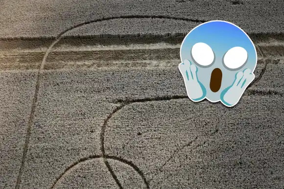 Aparecieron extrañas y sobrenaturales marcas en un campo de la región y causó enorme temor: "No estamos solos..."