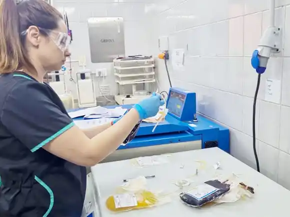 Donación de sangre en Entre Ríos: paso a paso del proceso que cuida y salva vidas