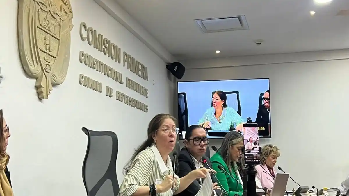 MOE del CENTRO CARTER presentó informe sobre el 28 de julio ante Cámara de Representantes del Congreso de Colombia