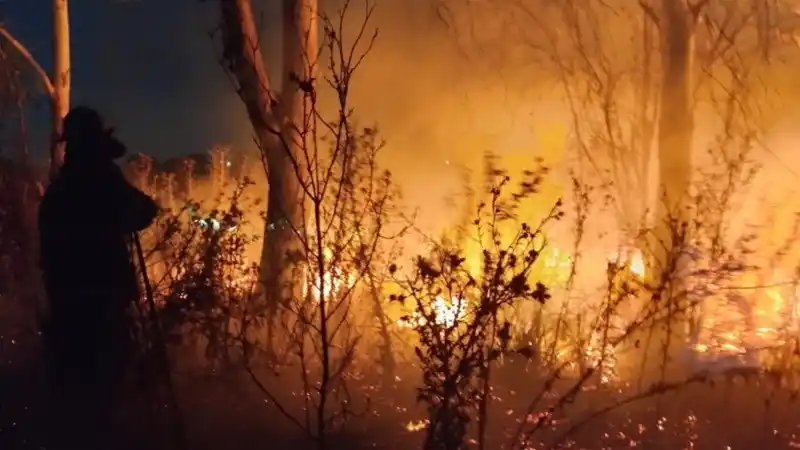Foto: Bomberos Zapadores