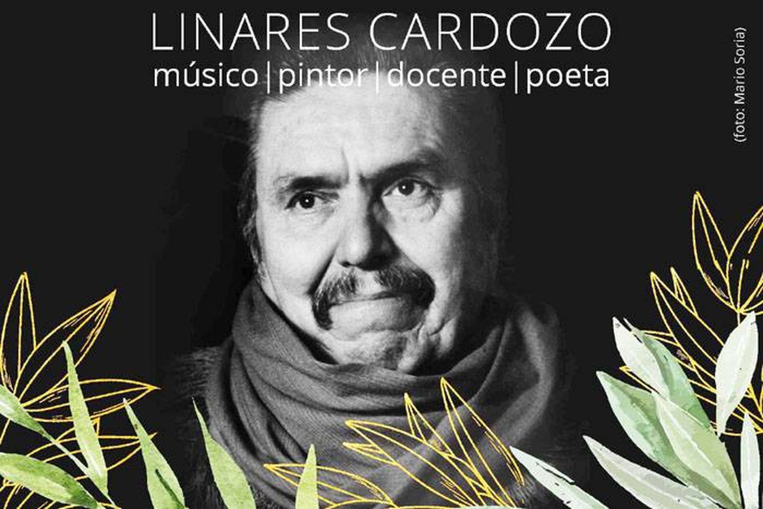 El Consejo Provincial de Cultura proyecta una muestra itinerante sobre Linares Cardozo