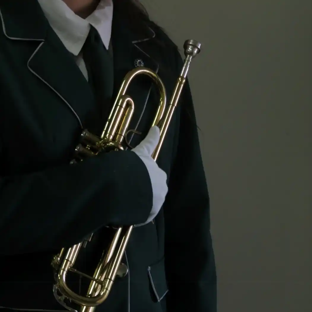 banda lisa escuela Normal