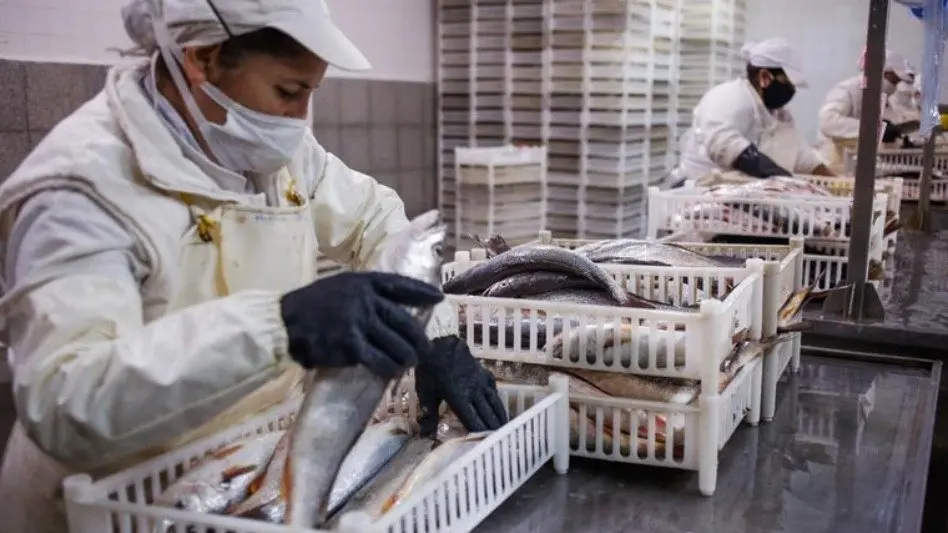 Se incorpora pescado al menú escolar 
