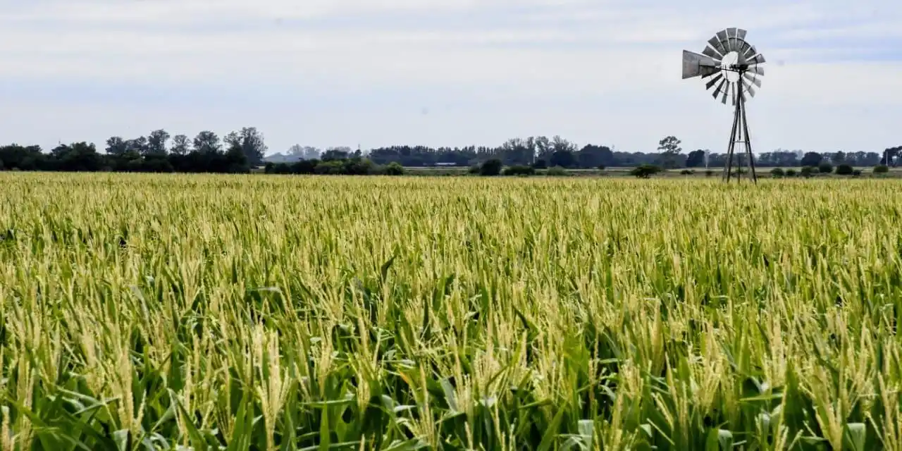 Argentina, entre los países del mundo que más presiona fiscalmente al campo