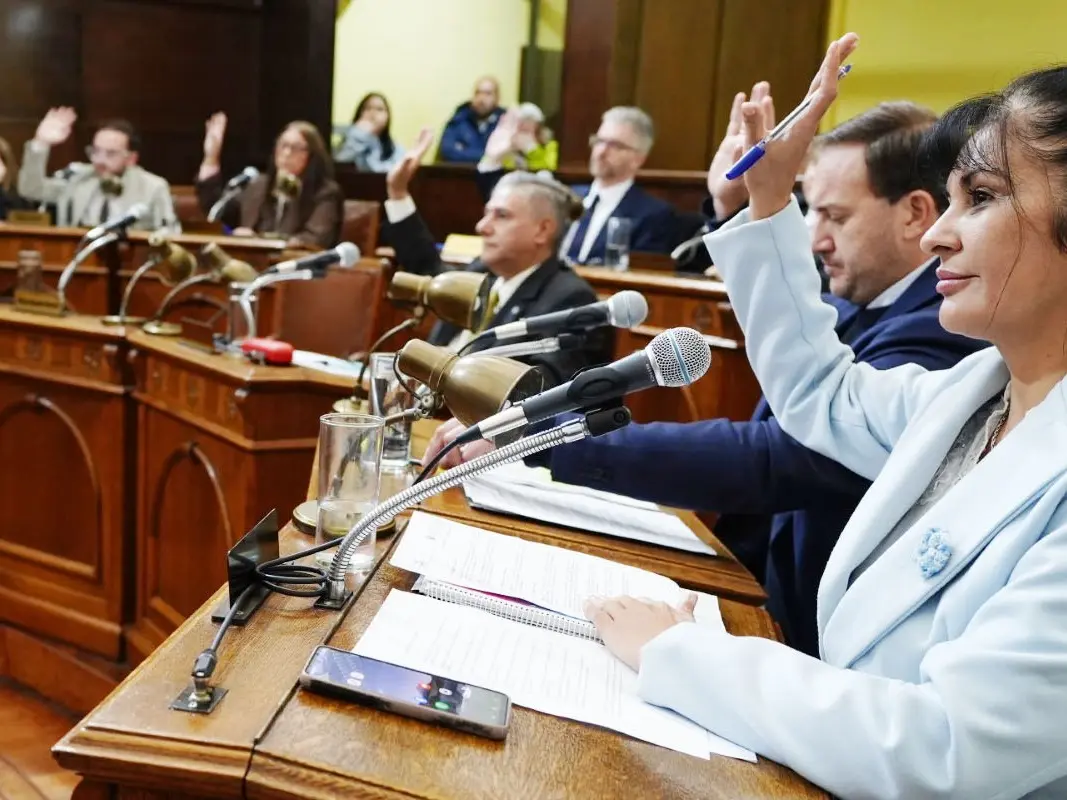 Se aprobó por unanimidad la nueva Ordenanza de Procedimiento Administrativo Municipal