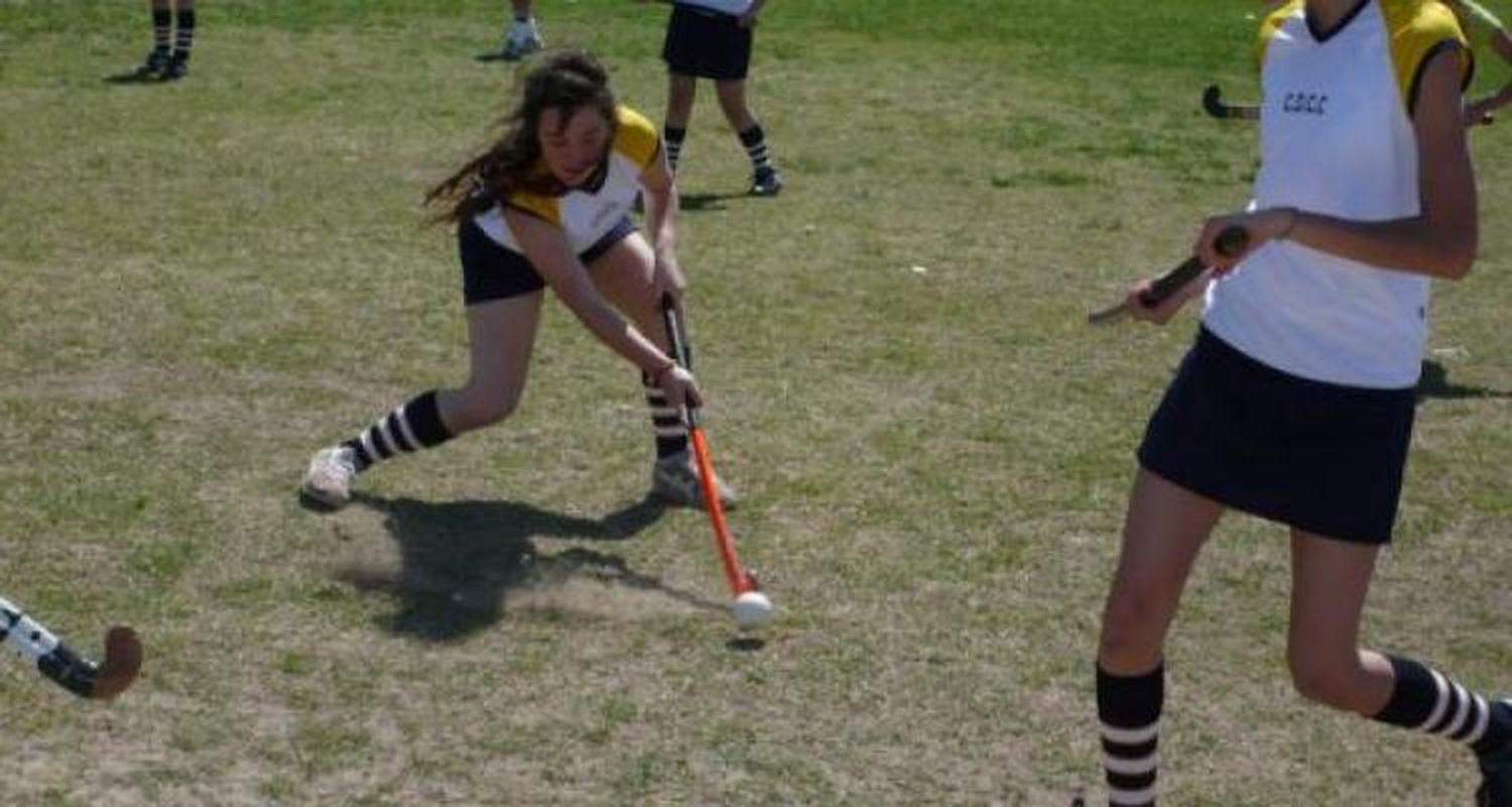 El hockey a pleno