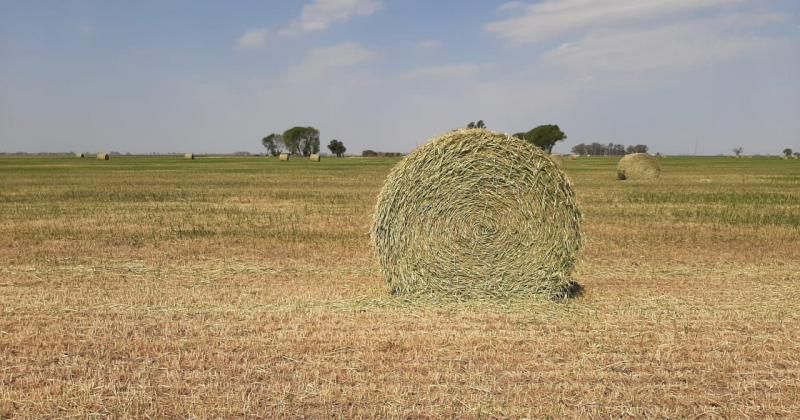 Sequía: el sur de Santa Fe cerró el año con una faltante de más de 400 milímetros