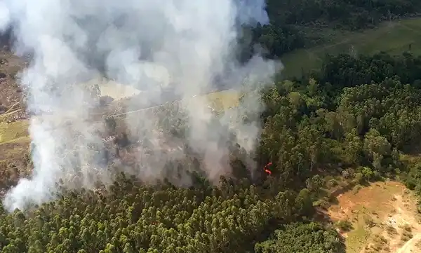 La provincia trabaja con bomberos para prevenir incendios forestales