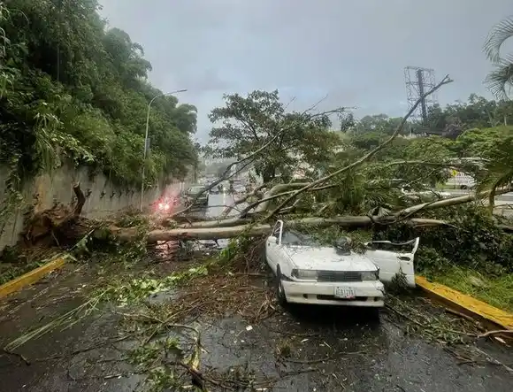 ¡GRAN CARACAS ANEGADA EN LLUVIAS! Caída de árboles deja un fallecido en Baruta
