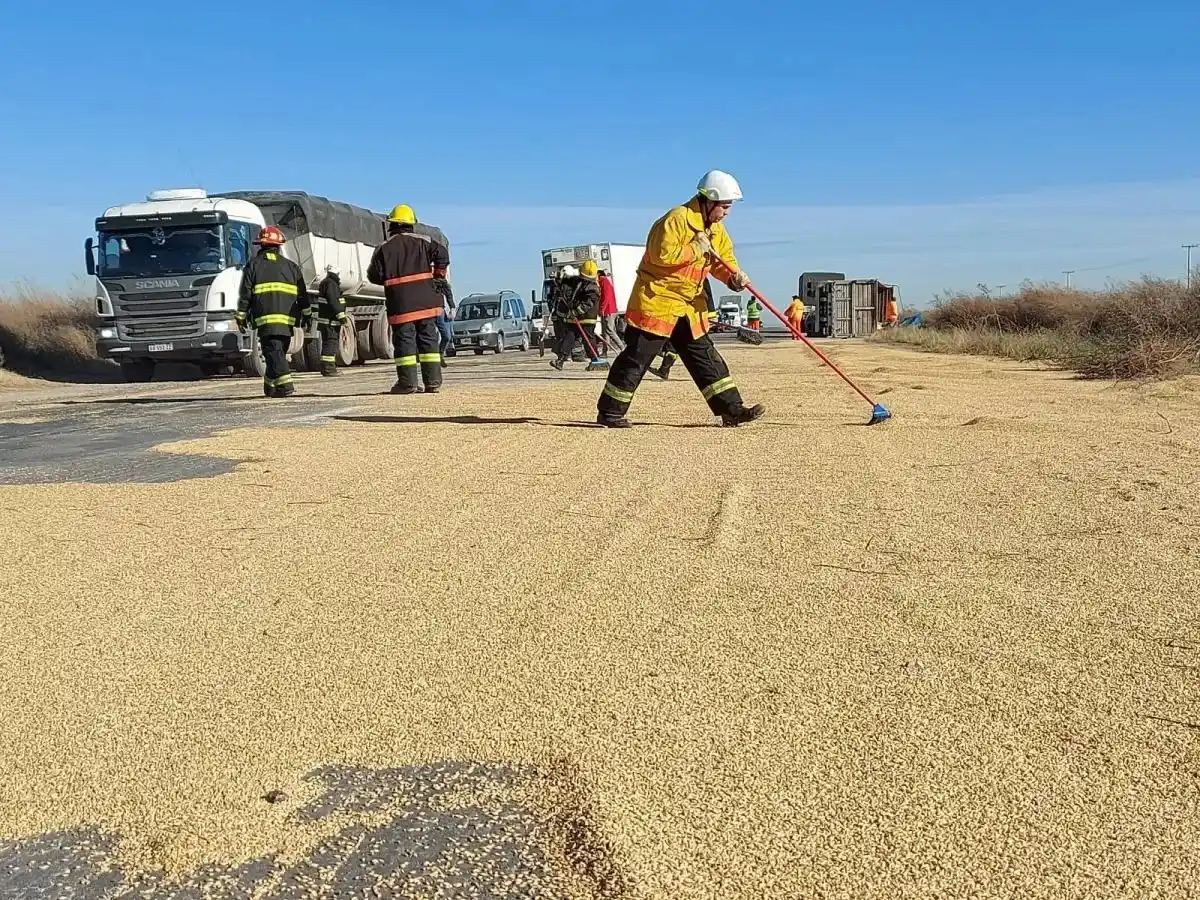 Un camión volcó su acoplado y desparramó trigo por la ruta 51 en Coronel Pringles