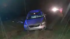 Autovía 12 :despistó y terminó en el cantero central