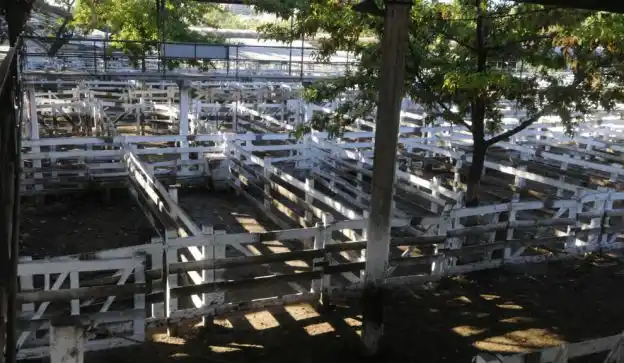 La Mesa de Enlace convocó a un paro por 5 días