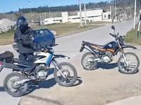 Secuestraron más de 30 vehículos la última semana