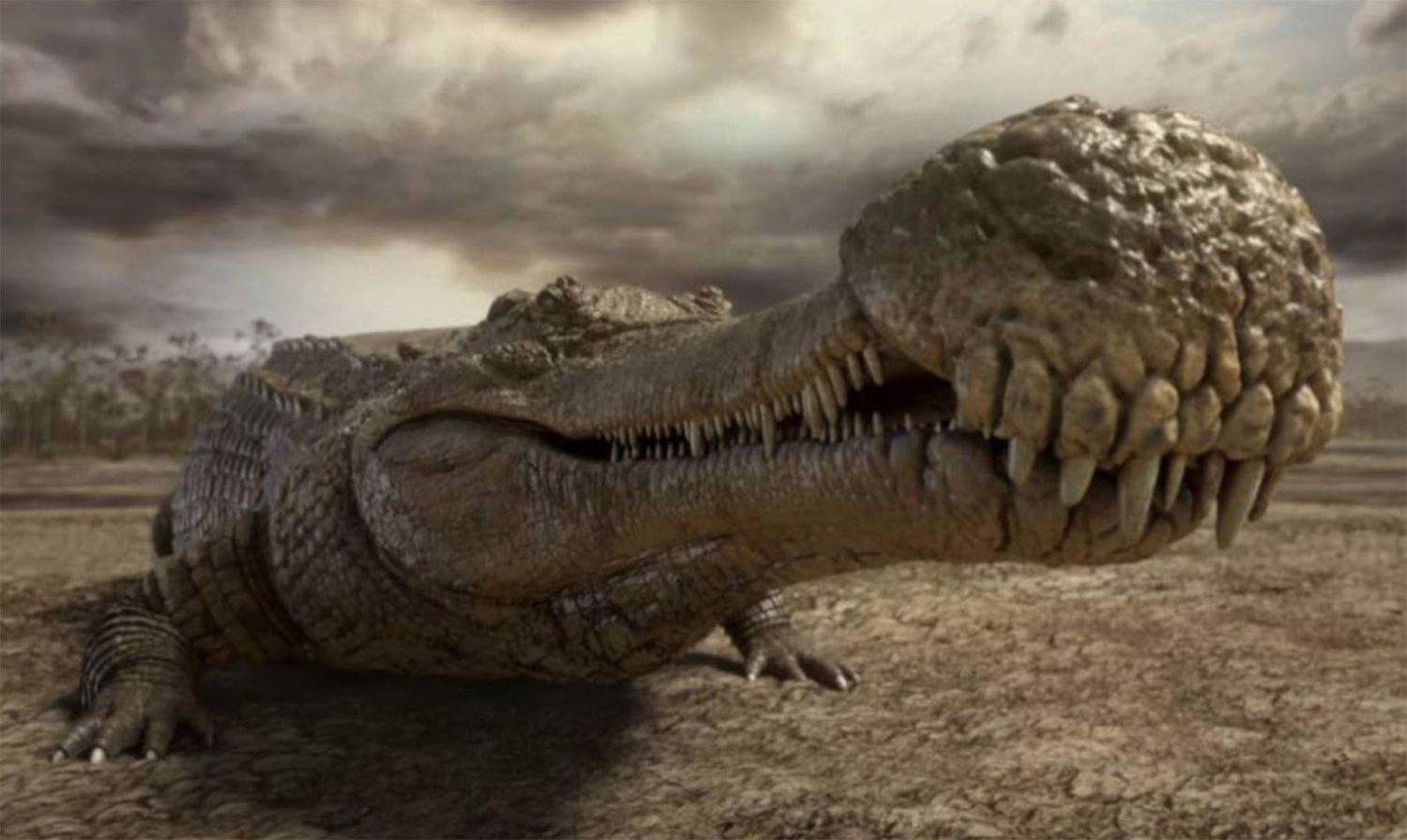 ¡Insólito! Descubren Cocodrilo con un Dinosaurio en su estómago