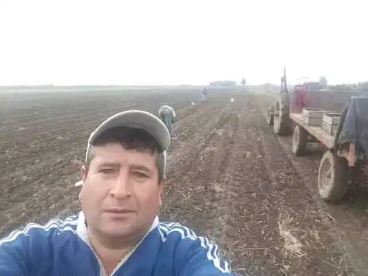 La sequía en primera persona: un injertador de plantas explicó por qué no habrá trabajo para ellos