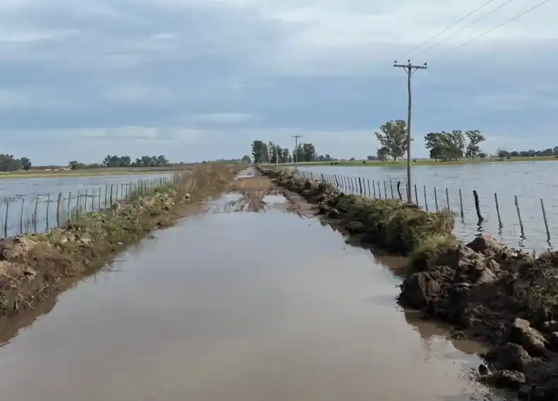 Inundaciones: las lluvias complican a miles de hectáreas de campos bonaerenses