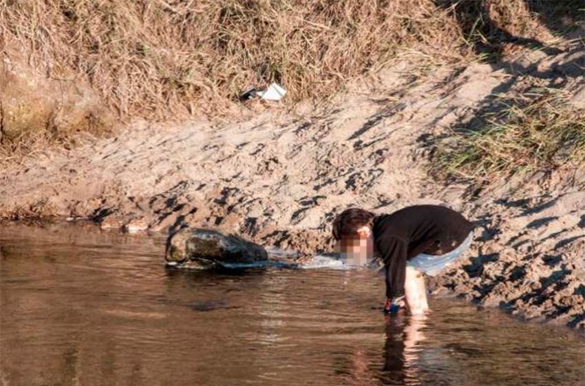 Balneario Luna Roja: denuncian que las cabañas vuelcan efluentes cloacales en el Arroyo Lobería