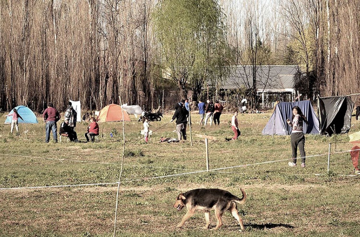 Acusan al Estado nacional de complicidad con las usurpaciones de tierras