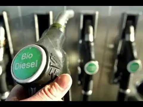 Falta de gasoil: proponen elevar hasta el 20% el corte con biodiesel