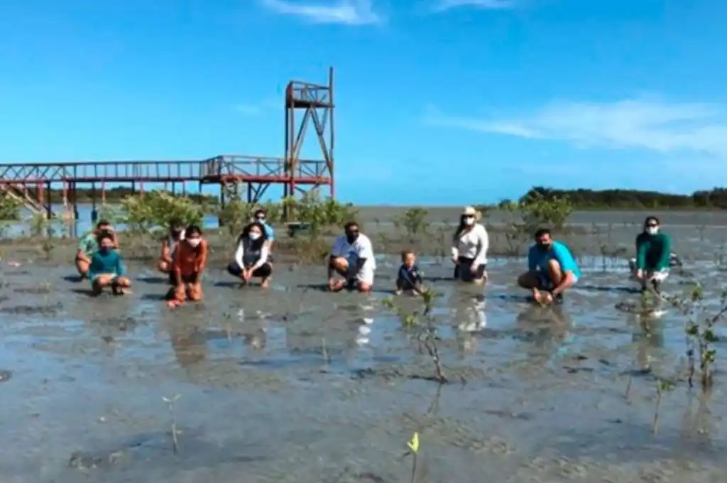 Plantan árboles en honor a las víctimas del coronavirus