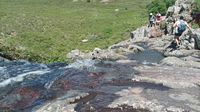 Con gran caudal de agua, la cascada fue epicentro de visitas de cientos de turistas