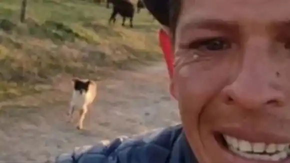 Lo echaron de su trabajo y su video llorando fue viral: Ahora inspeccionaron el campo y aplicaron multas