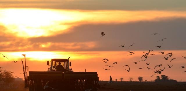 Las máquinas agrícolas crecen en tamaño y eficiencia
