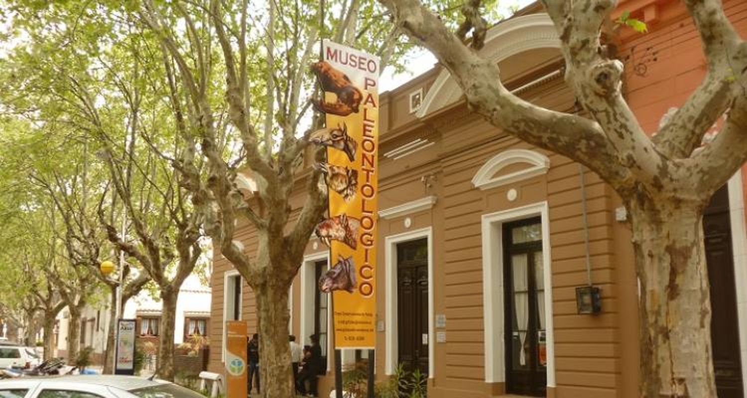 Museo Paleontológico presenta un histórico descubrimiento