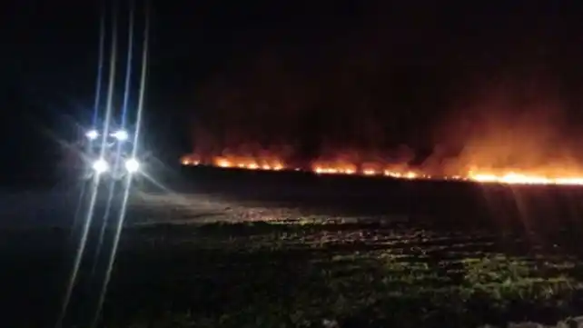 Reforzarán la seguridad en el autódromo en Rosario