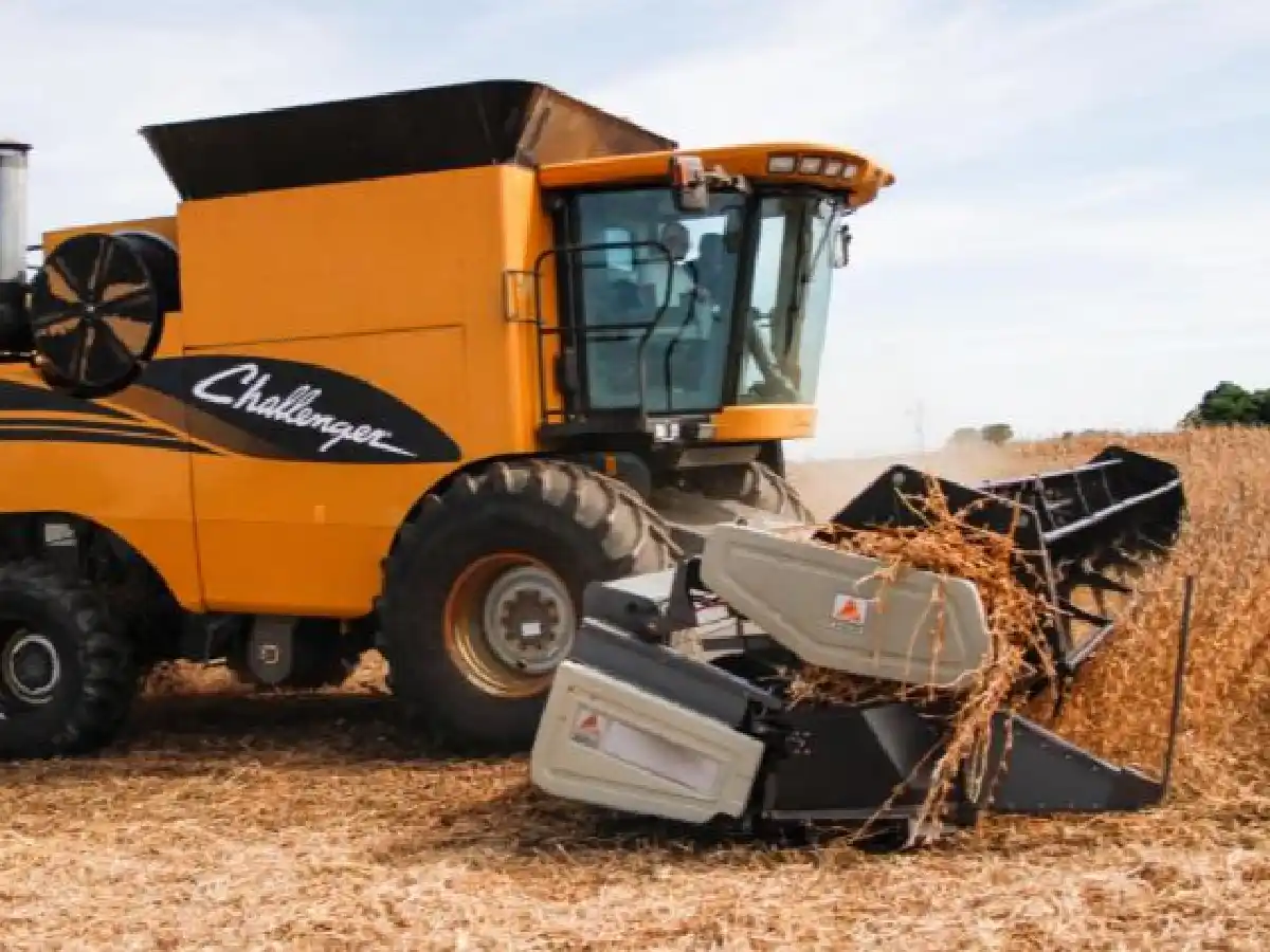 Presión fiscal: en soja y maíz, los impuestos representan 90% del resultado del productor