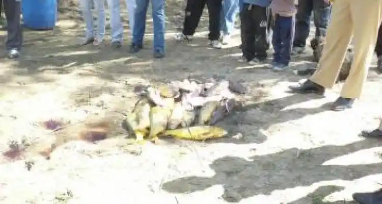 Cruce por los controles de pesca