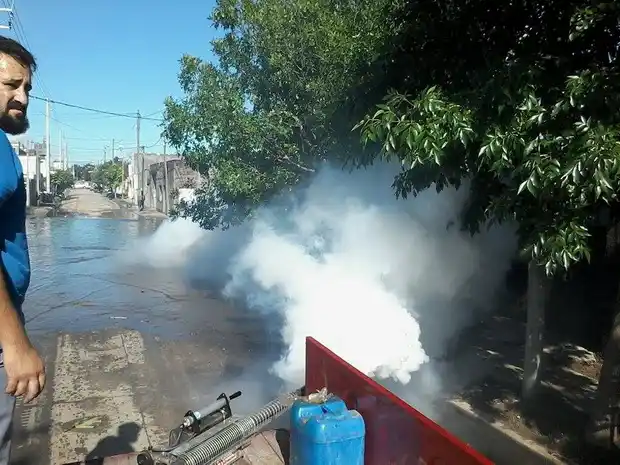 Comenzaron a fumigar las zonas anegadas por la creciente