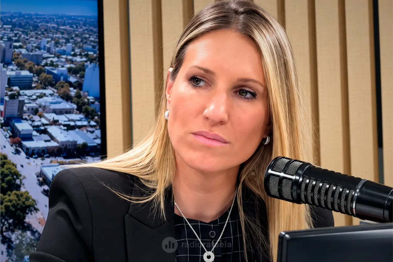 Virginia Coudannes, vocera provincial dijo que el Gobierno de Santa Fe