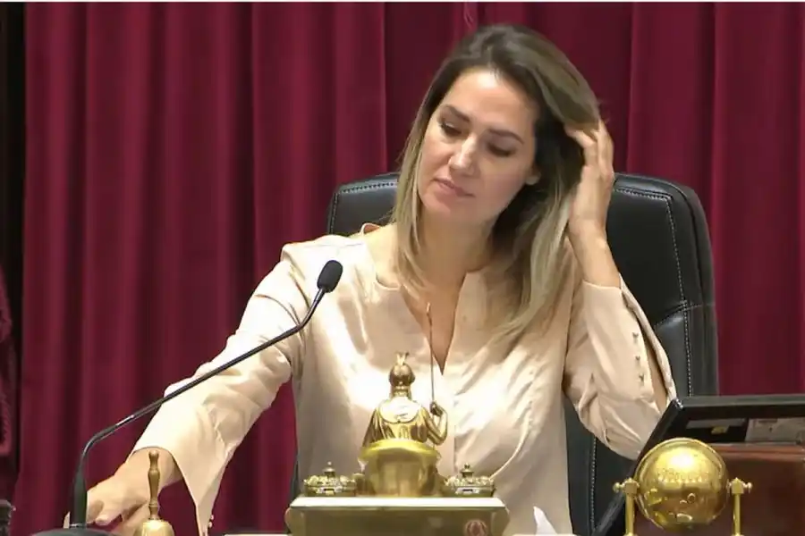 Losada dijo que apoya el DNU de Milei pero aclaró que "hay cosas que se tienen que rever"