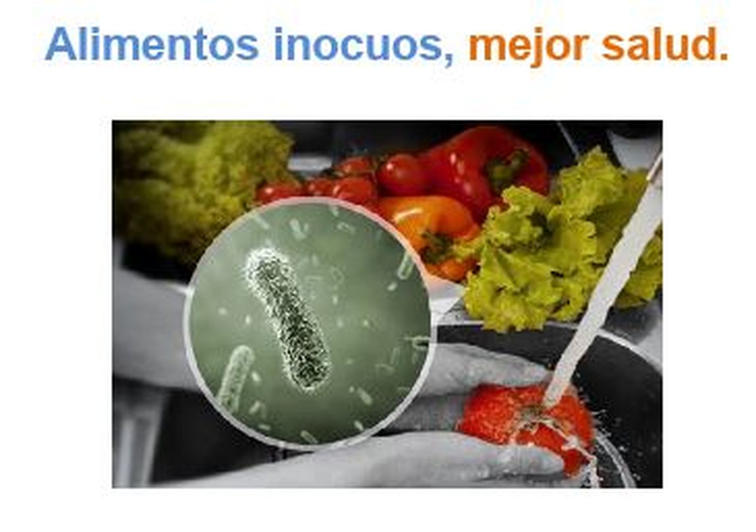 Alimentos inocuos, mejor salud.