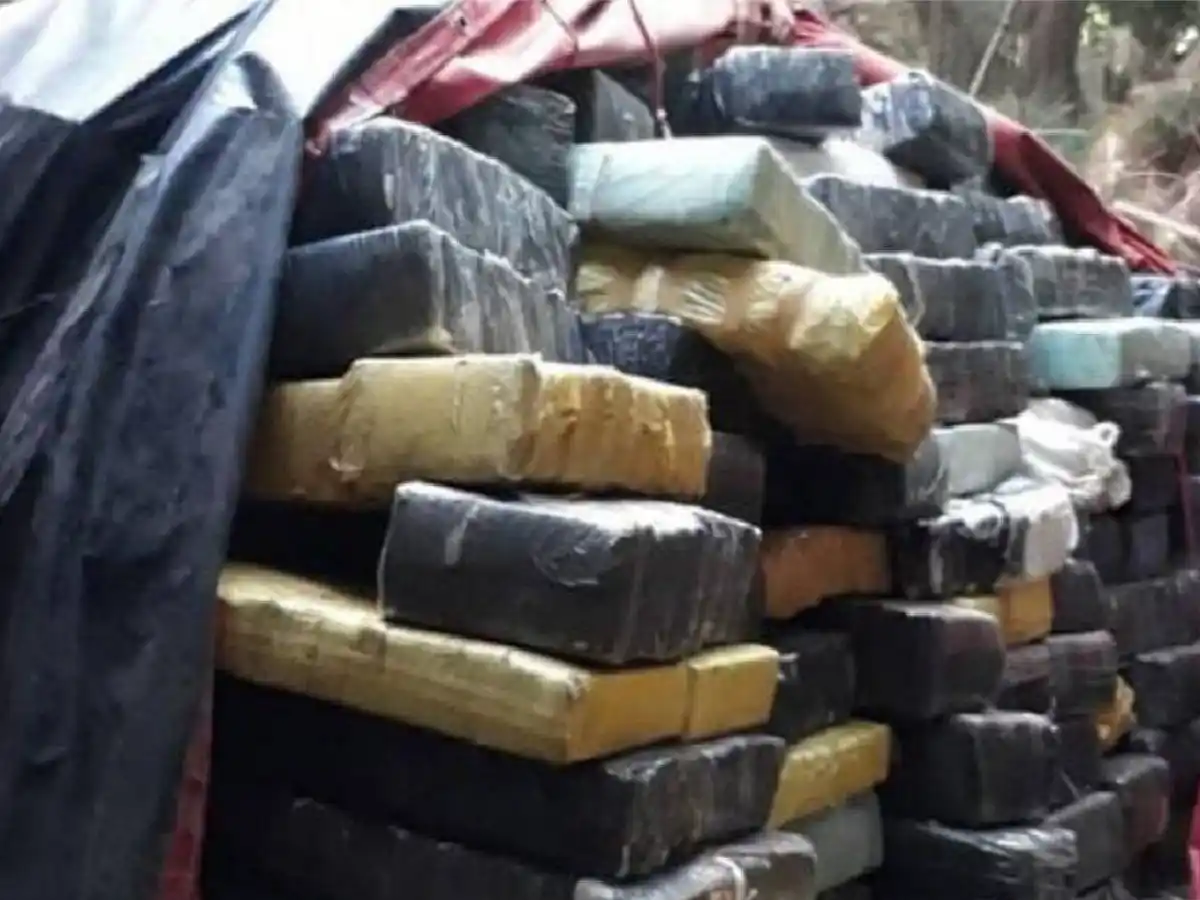 Decomisan más de 9 mil kilos de marihuana en Corrientes