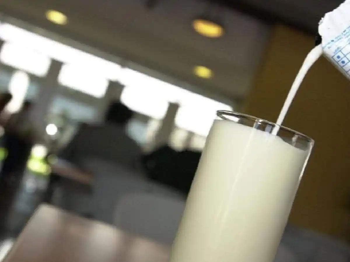 El consumo de lácteos cayó un 13% en 2019 