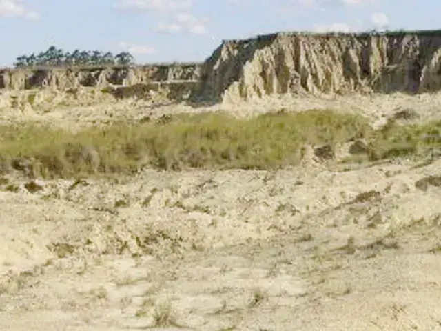Hallazgo paleontológico en Corrientes: científicos identificaron un ñandú fósil de 65 mil años