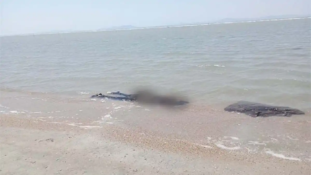 ¡HORRIBLE! Encuentran 8 cadáveres en las costas de México: son migrantes chinos