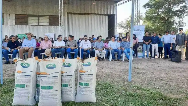 La inversión provincial hacia los paipperos
es de 250000 pesos por hectárea, en semillas
